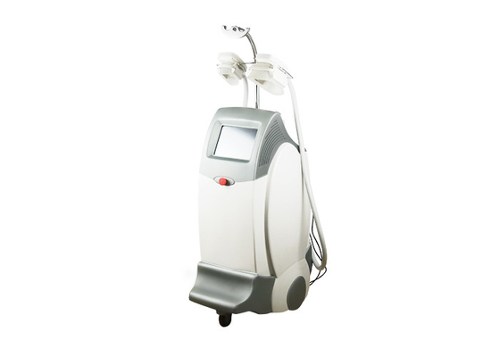 China Cryolipolysis Vacuum Cavitation Slimming Machine Vertical Style Improving Skin Elasticity supplier