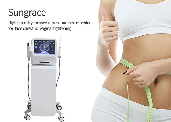 China White Colour 2 In 1 HIFU Ultrasound Machine Body Slimming Two Year Warranty supplier