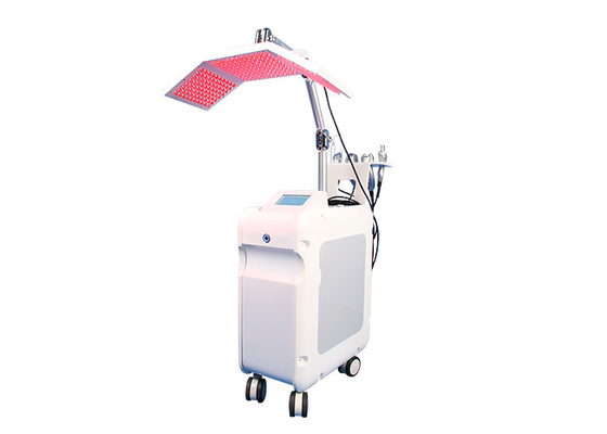 Hydro Dermabrasion Oxygen Facial Machine Deep Cleaning Two Years Warranty supplier